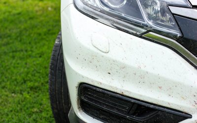 Cómo limpiar los mosquitos del coche